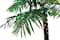 8ft. Pre-Lit Palm Tree, Green & Warm White LED Lights